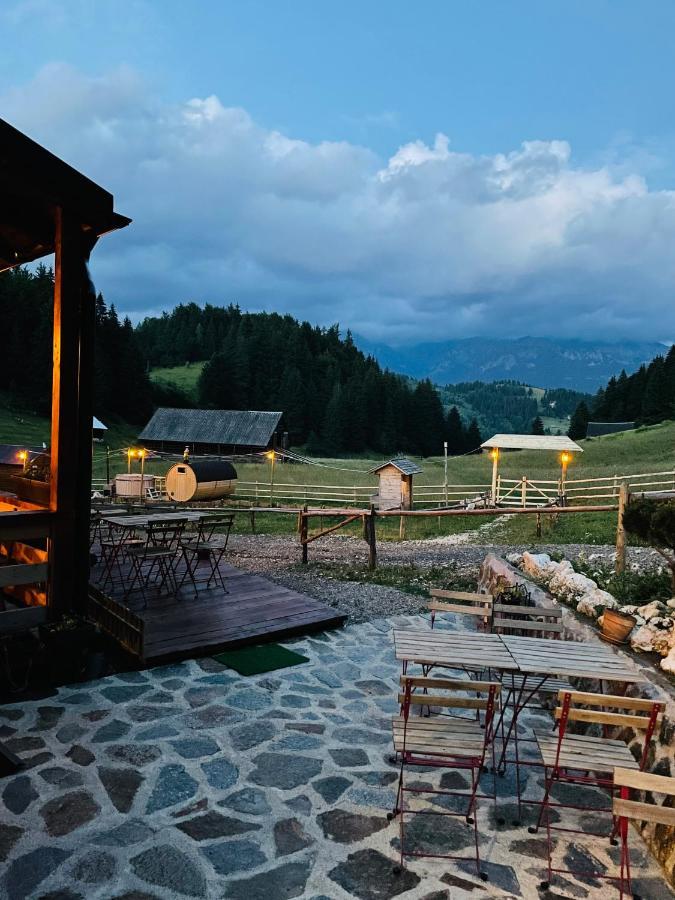 Andolia Villa Moeciu De Sus Exterior photo