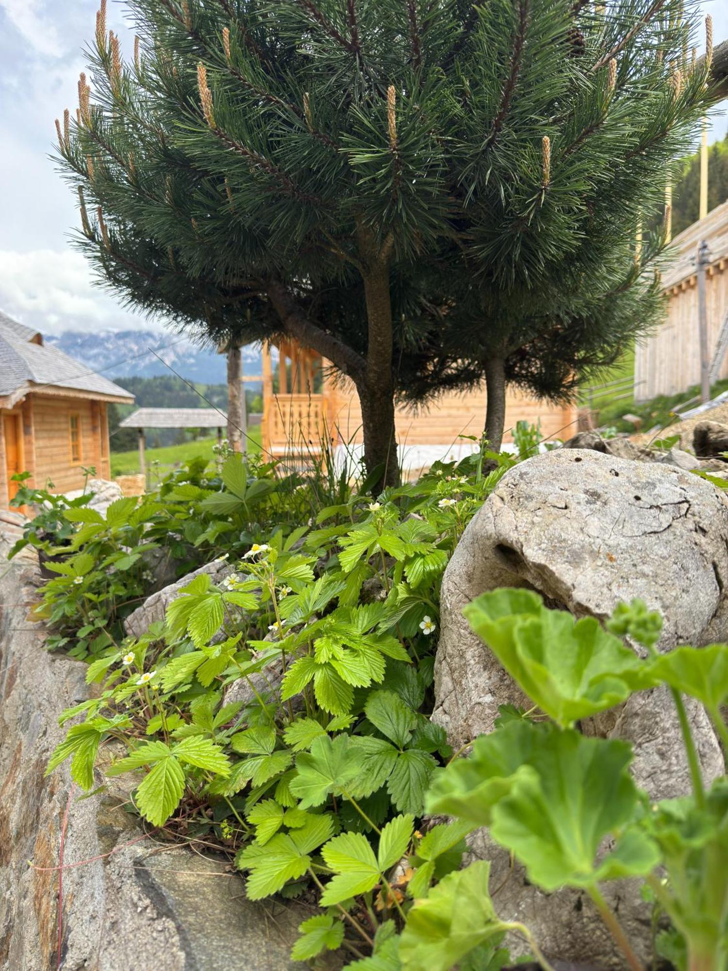 Andolia Villa Moeciu De Sus Exterior photo